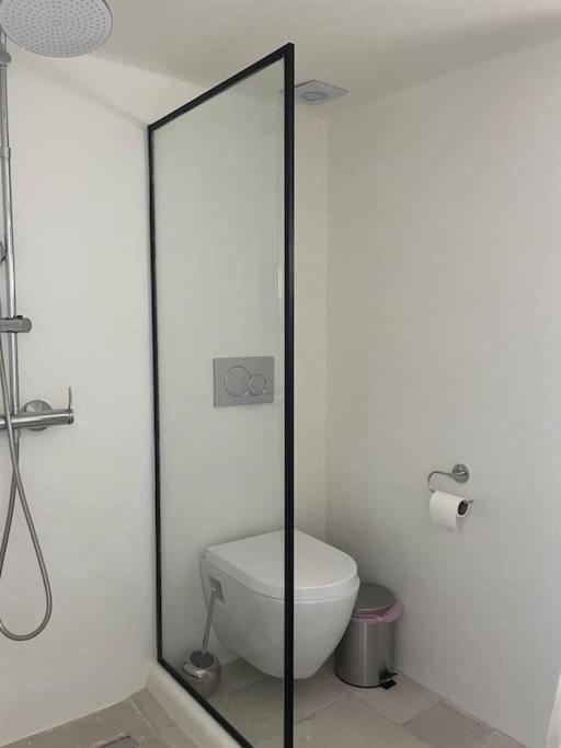 Cozy, Spacious, Newly Renovated Flat In Adamantas (Milos)
