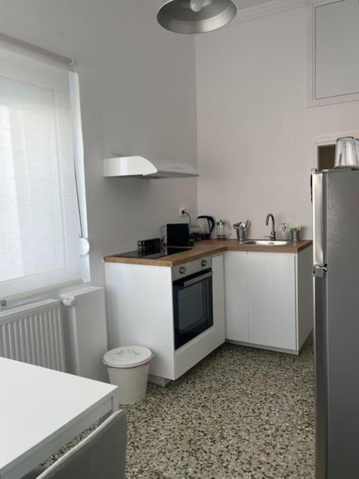 Apartment Cozy, Spacious, Newly Renovated Flat In *